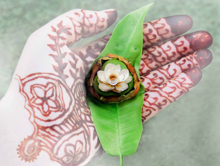 Shakti Healing hand holding Ayurvedic herbal remedy